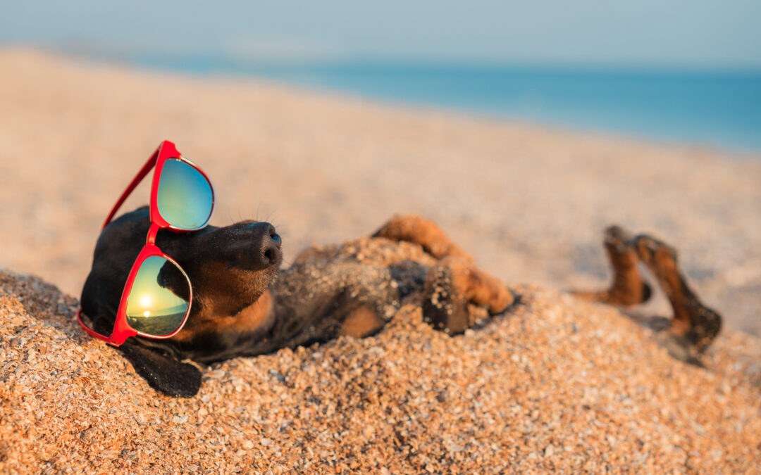 Small Luxuries That Don’t Break the Bank (But Still Feel Good)￼